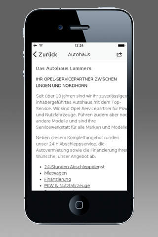 Autohaus Lammers GmbH screenshot 2