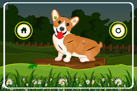 Pet Vet Surgery – Crazy animal doctor & hospital care game for little kids screenshot 4