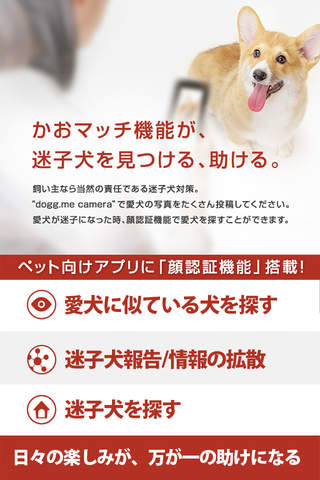 dogg.me camera(ドッグミーカメラ)--愛犬家向け写真SNS screenshot 2