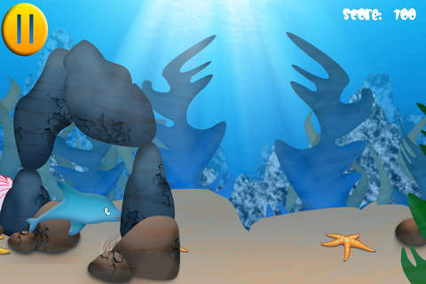 Dolphin Play (Free) screenshot 4