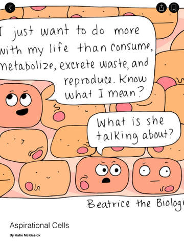 【免費娛樂App】Beatrice the Biologist-APP點子