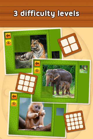 Jungle and Rainforest Animals: puzzle game screenshot 2