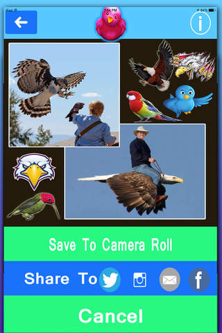 Prank My Photo: Make Fun of Photo Album with Funny Bird Stickers screenshot 3