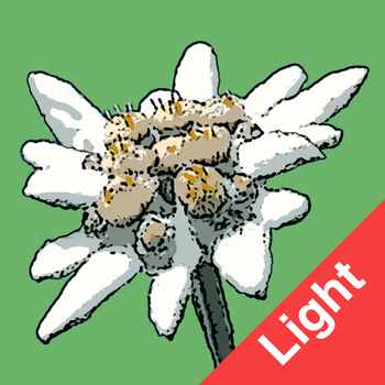 Flora Helvetica Light français LOGO-APP點子