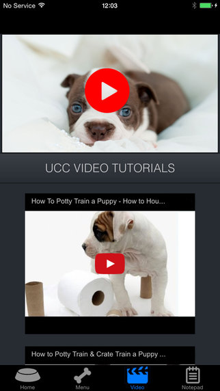 【免費生活App】How To Potty Training A Puppy - Complete Guide-APP點子