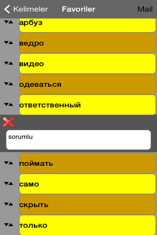 Rusça Büyük Sözlük screenshot 3