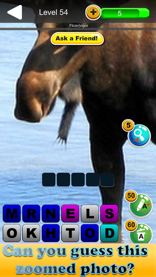 Zoomed Pic Quiz - Guess All The Animals In This Brand New Photo Trivia Game