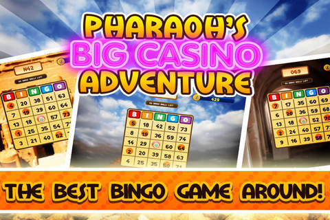 Big Win Casino Bingo Card Game screenshot 4