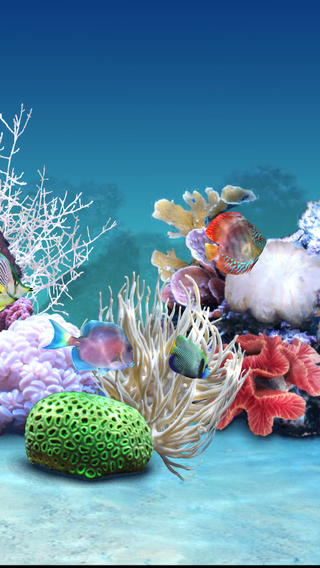 【免費生活App】Dream Aquarium live HD - Joy Fish Tank Marine Ocean School Scenes-APP點子