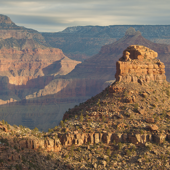 Grand Canyon National Park Geology Tour LOGO-APP點子