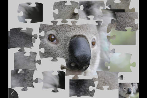 Animals 2 - Jigsaw and Sliding Puzzles screenshot 2
