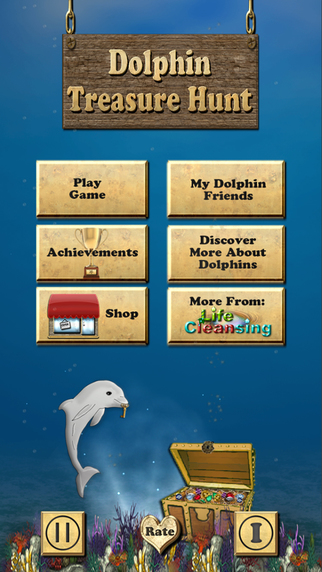 Dolphin Treasure Hunt