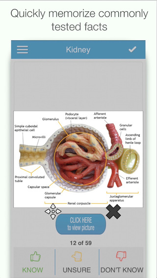 USMLE Step 1 - Biochemistry Physiology Flashcards