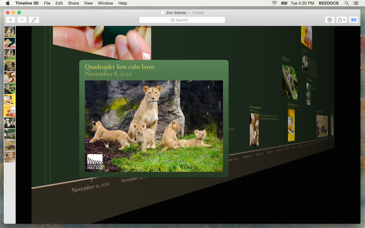timeline 3d app timeline 3d app