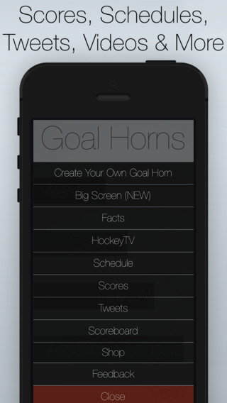 【免費運動App】Hockey Goal Horns-APP點子