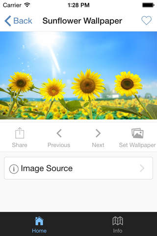 Sunflower Wallpaper screenshot 4
