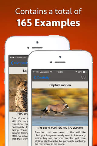 Learn by Example Wildlife Photography screenshot 4