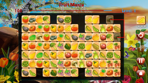 免費下載遊戲APP|Fruit Mania - memo brain to match classic images app開箱文|APP開箱王