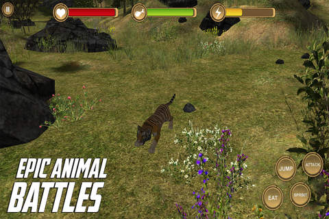 Tiger Simulator HD Animal Life screenshot 3