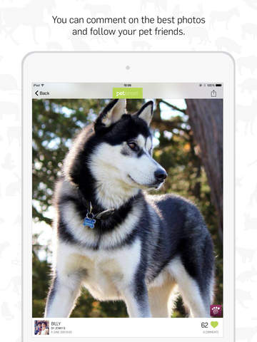 【免費社交App】Peterest - Pet Photo Gallery-APP點子