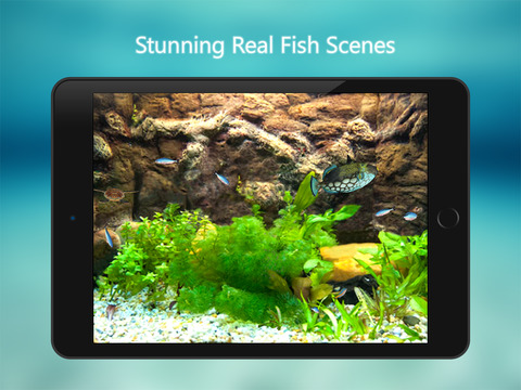 免費下載教育APP|Tanked Aquarium 3D - Relaxing Tropical Scenes with Coral Reef, Sharks & Fish Tank app開箱文|APP開箱王