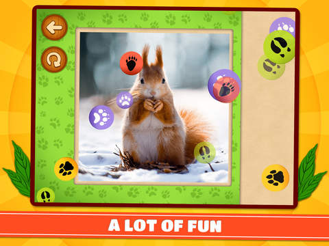 免費下載遊戲APP|Forest & Jungle Animals Puzzles – Logic Game for Toddlers, Preschool Kids, Little Boys and Girls – Free app開箱文|APP開箱王
