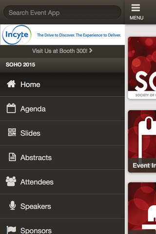 SOHO 2015 screenshot 4