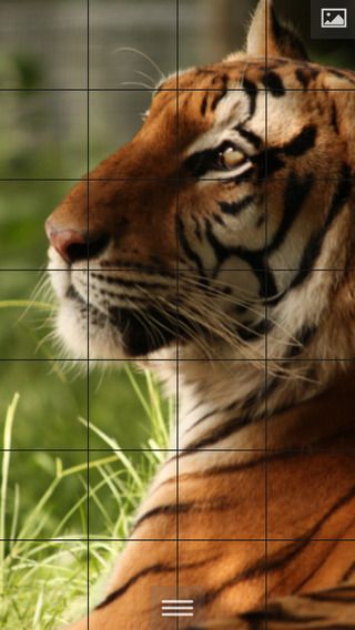 Puzzlemania Premium - Make your photos puzzles