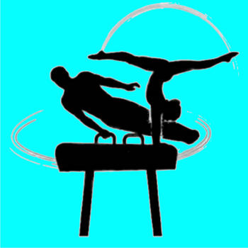 Gymnast Salute LOGO-APP點子