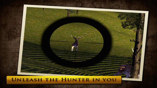 Virtual Hunting : Stag