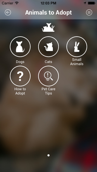 【免費生活App】Bath Cats and Dogs Home-APP點子