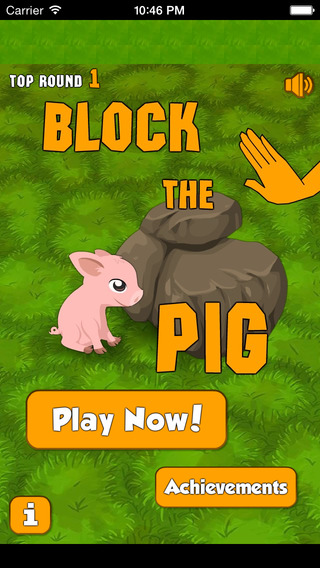 Block Block The Pig