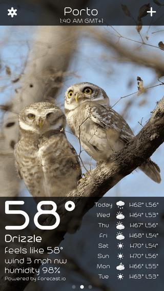 【免費天氣App】Owl Weather-APP點子