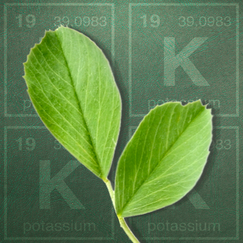 Alfalfa Potassium Uptake Calculator 商業 App LOGO-APP開箱王