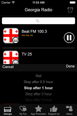 Georgia Radio screenshot 4