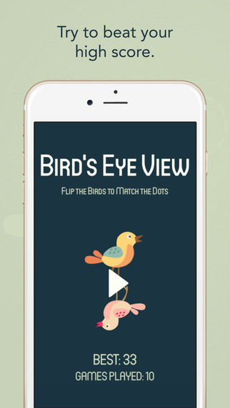Bird's Eye View: Flip Game