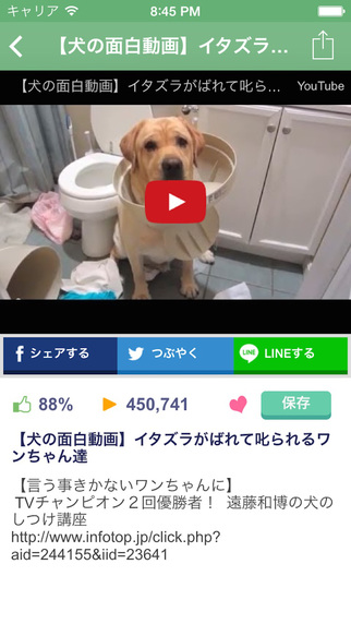 【免費新聞App】日刊いぬ新聞 - Dog Blog Reader for Japanese Dogs Lover-APP點子