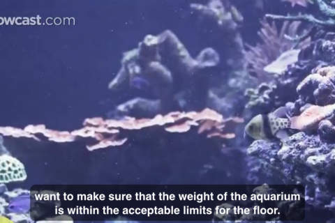 Aquarium Care screenshot 4