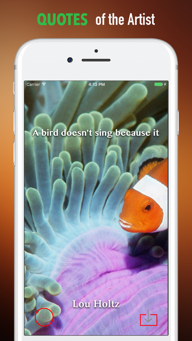 Anemone Wallpapers HD- Quotes and Art Pictures screenshot 4