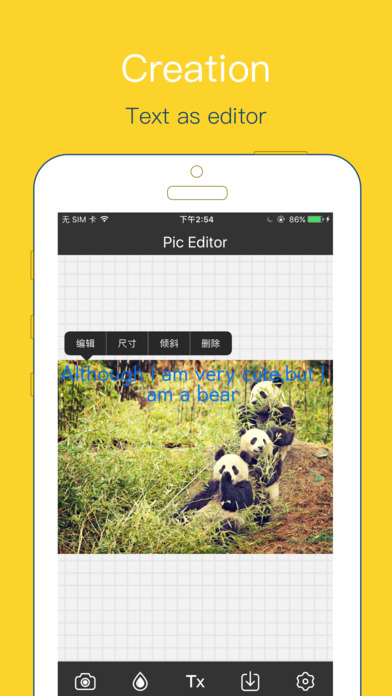 Pic Editor - Add Filters & Text on Pictures screenshot 4