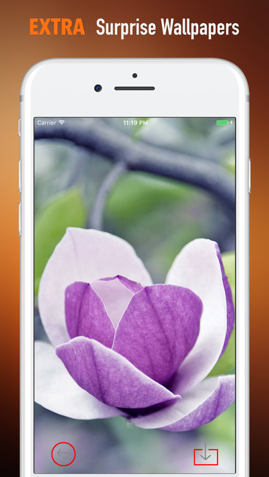 Magnolia Wallpapers HD- Quotes and Art Pictures screenshot 3