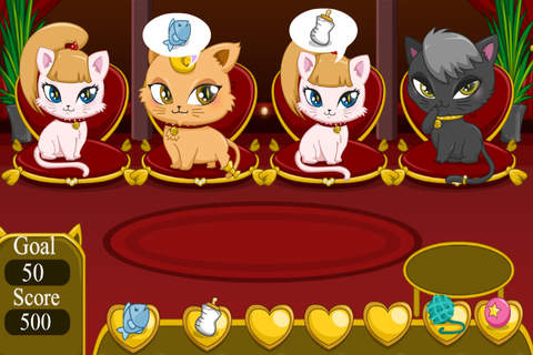 Cat Day Care Hotel - Pets Home Care screenshot 3