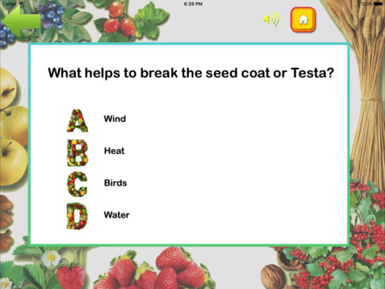 iPad Screenshot 3