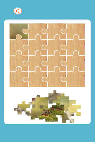 Animals Chipmunk jigsaw puzzle games screenshot 2