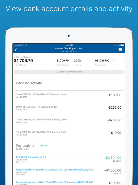 iPad Screenshot 2