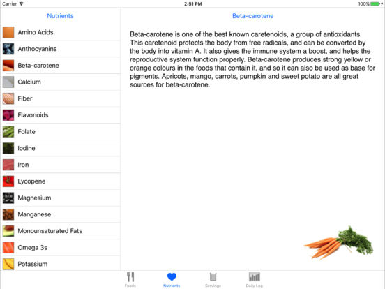 iPad Screenshot 4