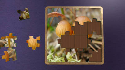 Super Jigsaws Plants screenshot 4