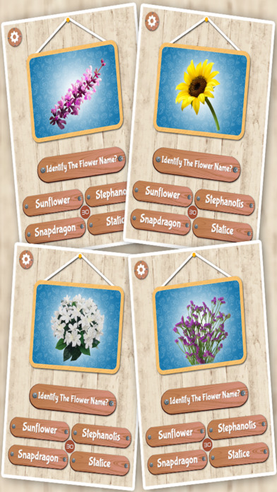 Flower Quiz Kids Game Pro screenshot 2