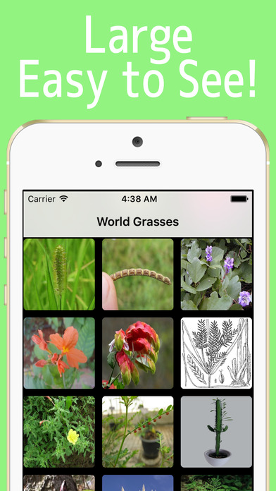 World Grasses! screenshot 3