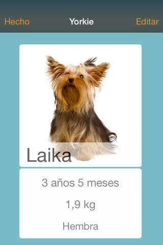 Yorkie screenshot 2